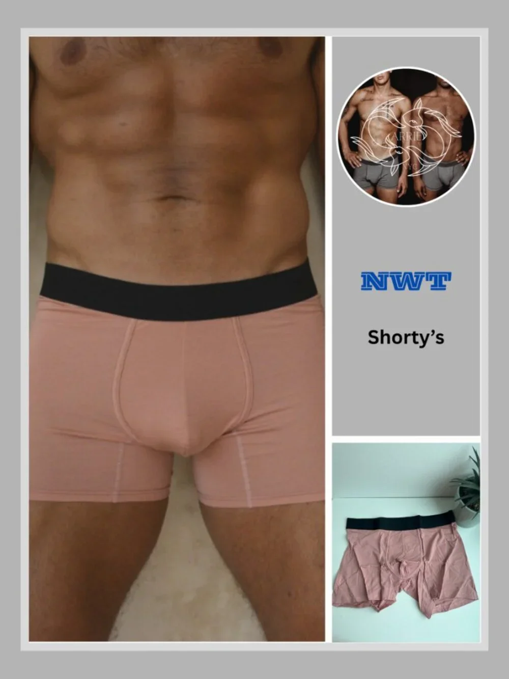 Shorty's Menswear - Hammock Boxer Brief - Pink (M)